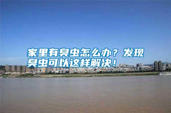 家里有臭蟲怎么辦?發(fā)現(xiàn)臭蟲可以這樣解決!