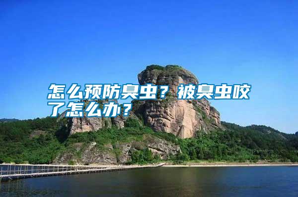 怎么預(yù)防臭蟲?被臭蟲咬了怎么辦?