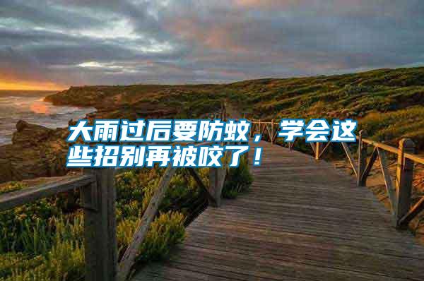 大雨過后要防蚊，學會這些招別再被咬了！