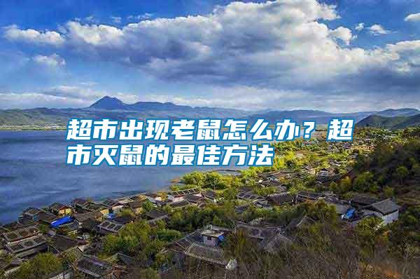 超市出現老鼠怎么辦?超市滅鼠的最佳方法