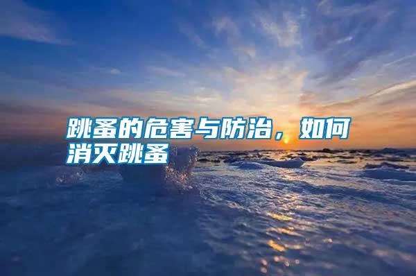 跳蚤的危害與防治,如何消滅跳蚤