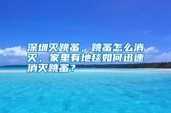 深圳滅跳蚤,跳蚤怎么消滅,家里有地毯如何迅速消滅跳蚤?