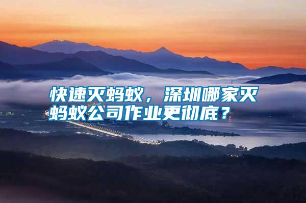 快速滅螞蟻,深圳哪家滅螞蟻公司作業(yè)更徹底?