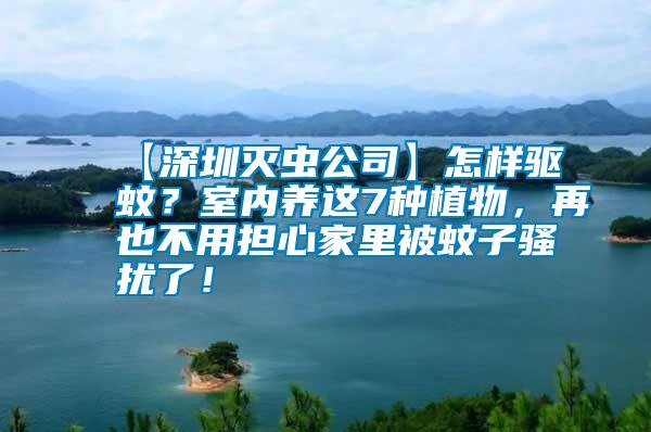 【深圳滅蟲公司】怎樣驅蚊?室內養(yǎng)這7種植物,再也不用擔心家里被蚊子騷擾了!