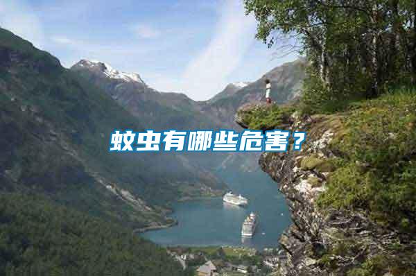 蚊蟲有哪些危害？