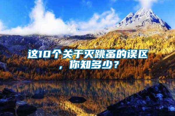 這10個關于滅跳蚤的誤區(qū),你知多少?