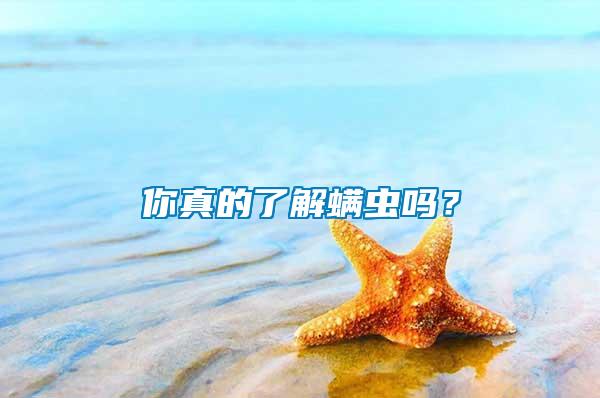 你真的了解螨蟲嗎？
