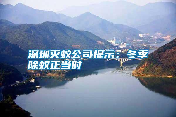 深圳滅蟻公司提示:冬季除蟻正當(dāng)時