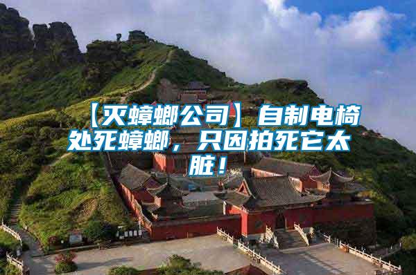 【滅蟑螂公司】自制電椅處死蟑螂，只因拍死它太臟！