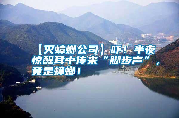 【滅蟑螂公司】嚇!半夜驚醒耳中傳來“腳步聲”,竟是蟑螂!