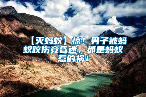 【滅螞蟻】驚！男子被螞蟻咬傷竟昏迷，都是螞蟻惹的禍！