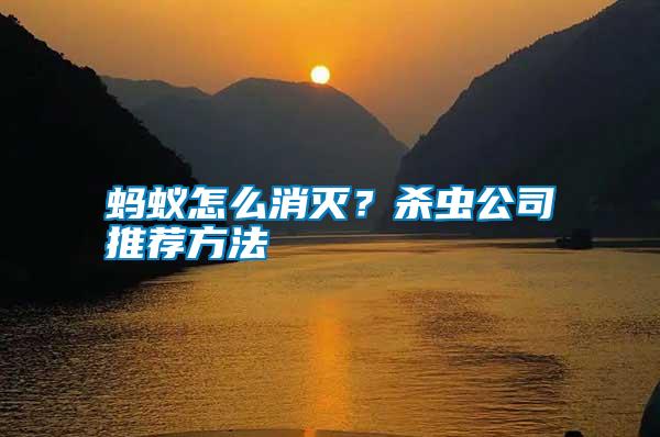 螞蟻怎么消滅?殺蟲公司推薦方法