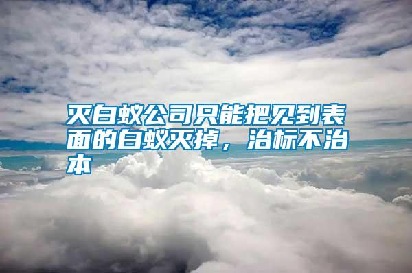 滅白蟻公司只能把見到表面的白蟻滅掉,治標不治本