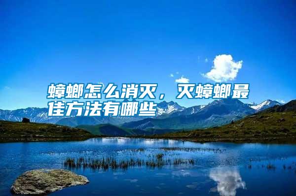 蟑螂怎么消滅，滅蟑螂最佳方法有哪些