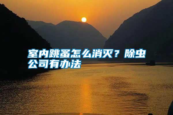 室內(nèi)跳蚤怎么消滅?除蟲(chóng)公司有辦法