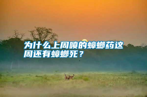 為什么上周噴的蟑螂藥這周還有蟑螂死?