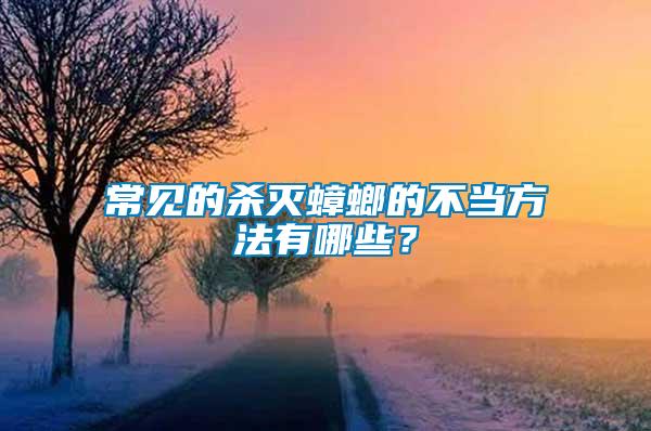 常見的殺滅蟑螂的不當方法有哪些?