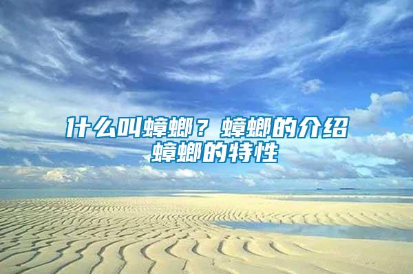 什么叫蟑螂?蟑螂的介紹 蟑螂的特性