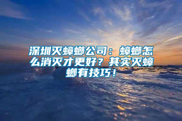 深圳滅蟑螂公司:蟑螂怎么消滅才更好?其實滅蟑螂有技巧!