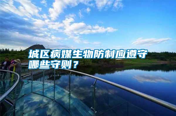 城區(qū)病媒生物防制應(yīng)遵守哪些守則?