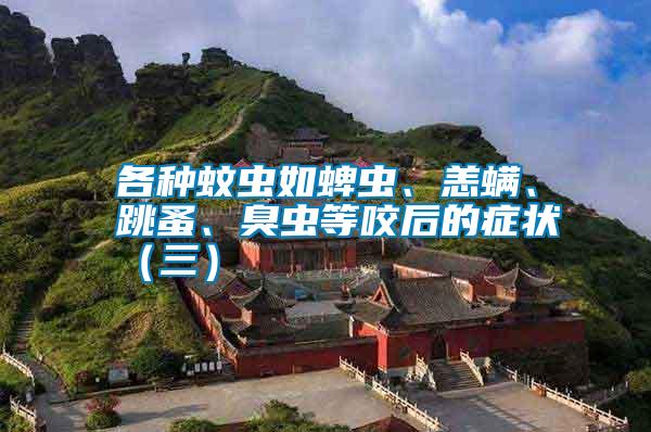 各種蚊蟲如蜱蟲、恙螨、跳蚤、臭蟲等咬后的癥狀（三）