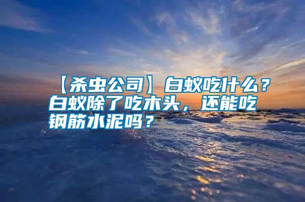 【殺蟲公司】白蟻吃什么?白蟻除了吃木頭,還能吃鋼筋水泥嗎?