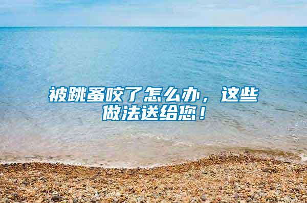 被跳蚤咬了怎么辦,這些做法送給您!