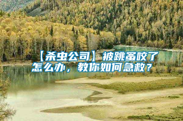 【殺蟲公司】被跳蚤咬了怎么辦，教你如何急救？