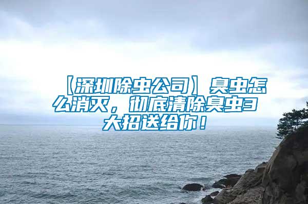 【深圳除蟲公司】臭蟲怎么消滅，徹底清除臭蟲3大招送給你！