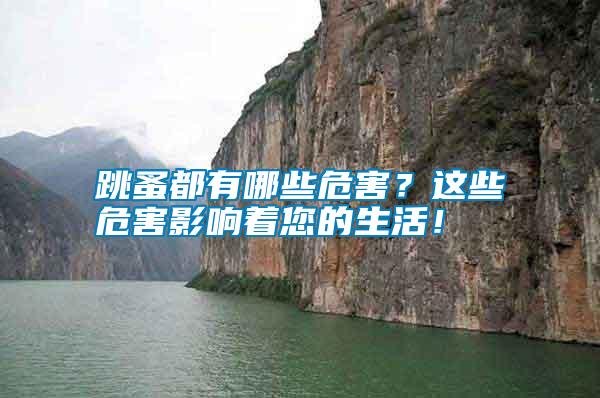 跳蚤都有哪些危害?這些危害影響著您的生活!