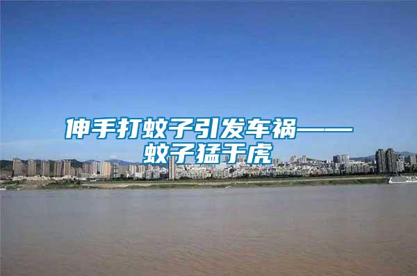 伸手打蚊子引發(fā)車(chē)禍——蚊子猛于虎