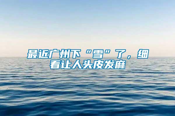 最近廣州下“雪”了,細看讓人頭皮發麻