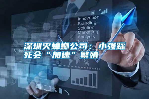 深圳滅蟑螂公司:小強踩死會“加速”繁殖