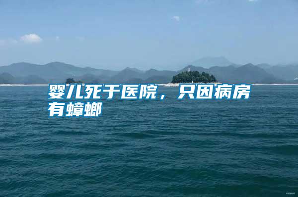 嬰兒死于醫院,只因病房有蟑螂
