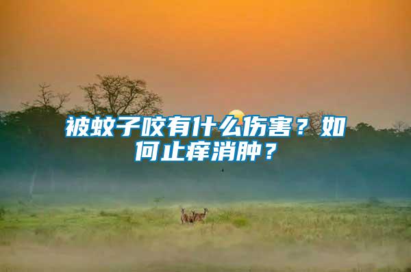 被蚊子咬有什么傷害?如何止癢消腫?