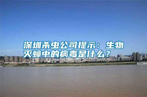 深圳殺蟲公司提示：生物滅蟑中的病毒是什么？