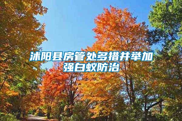 沭陽縣房管處多措并舉加強(qiáng)白蟻防治