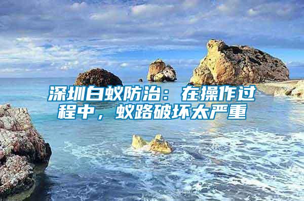 深圳白蟻防治:在操作過程中,蟻路破壞太嚴重