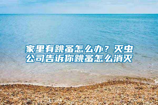 家里有跳蚤怎么辦？滅蟲(chóng)公司告訴你跳蚤怎么消滅