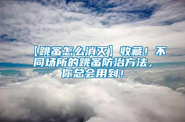 【跳蚤怎么消滅】收藏!不同場所的跳蚤防治方法,你總會用到!