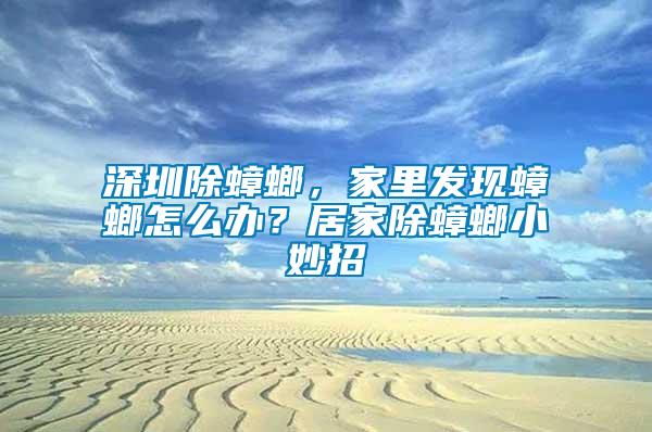 深圳除蟑螂,家里發現蟑螂怎么辦?居家除蟑螂小妙招