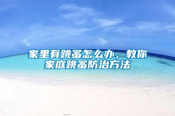 家里有跳蚤怎么辦，教你家庭跳蚤防治方法