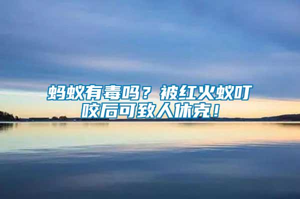 螞蟻有毒嗎?被紅火蟻叮咬后可致人休克!