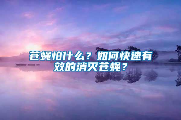 蒼蠅怕什么?如何快速有效的消滅蒼蠅?