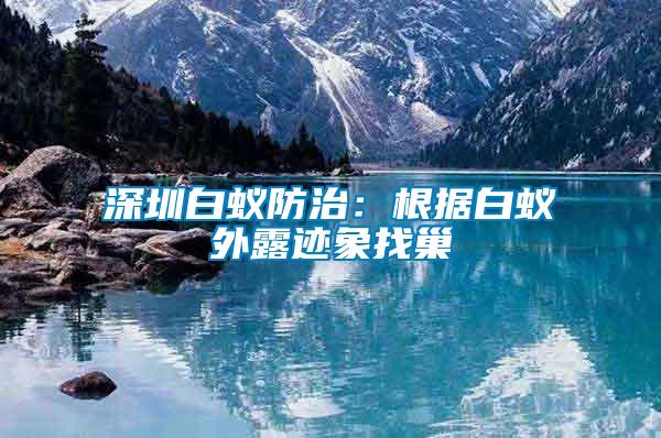 深圳白蟻防治:根據(jù)白蟻外露跡象找巢