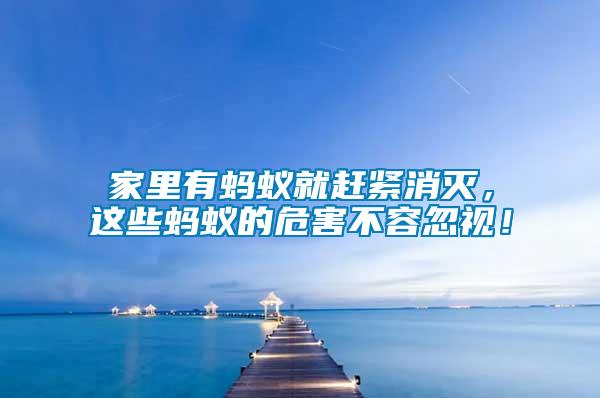 家里有螞蟻就趕緊消滅，這些螞蟻的危害不容忽視！