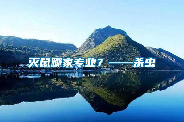 滅鼠哪家專業(yè)？——殺蟲