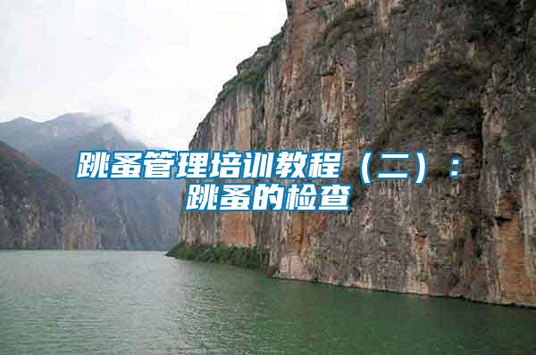 跳蚤管理培訓(xùn)教程(二):跳蚤的檢查