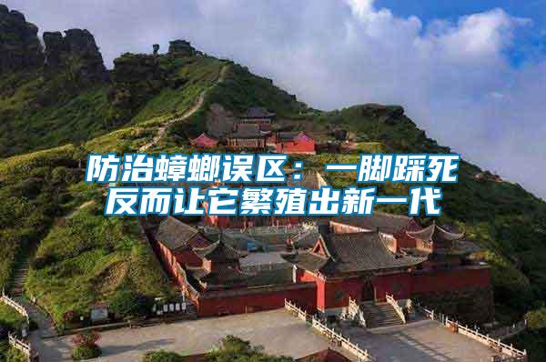 防治蟑螂誤區:一腳踩死反而讓它繁殖出新一代