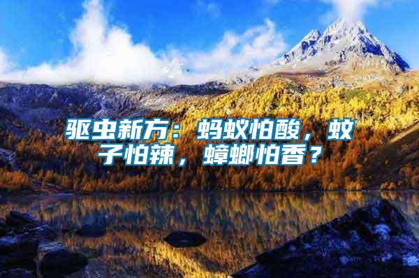 驅蟲新方:螞蟻怕酸,蚊子怕辣,蟑螂怕香?